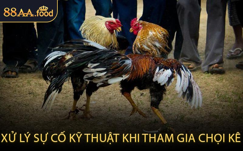 Xử lý sự cố kỹ thuật khi tham gia chọi kê?